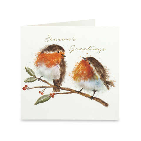 Robin Season's Greetings Christmas Cards - Pack of 10