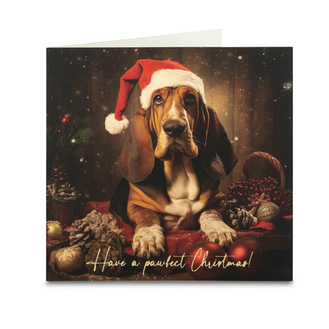 A Pawfect Christmas Cards - Pack of 10