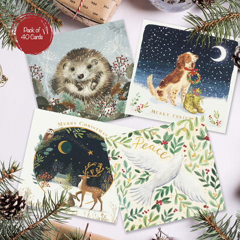 Animals at Christmas Bumper Pack - Pack of 40