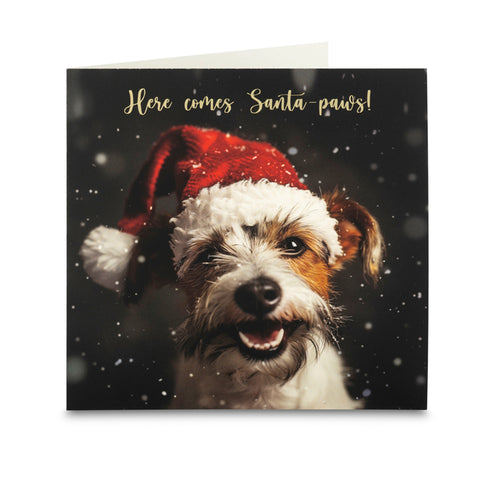 Here comes Santa-paws! Christmas Cards - Pack of 10