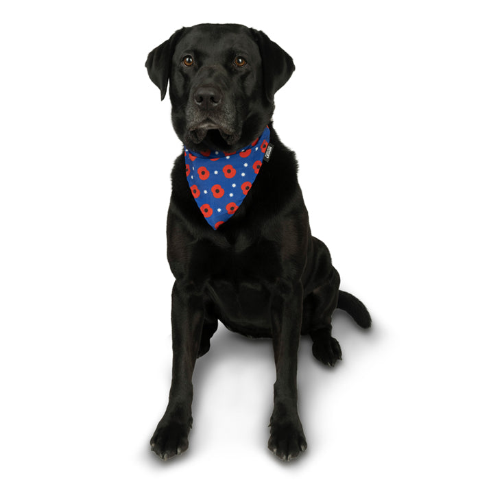 Poppy Pets Bandana