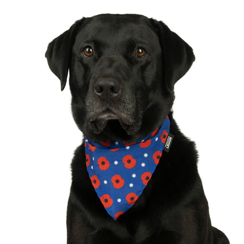 Poppy Pets Bandana