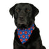 Poppy Pets Bandana