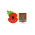 Northampton Town Poppy Football Pin 2024