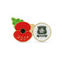 Plymouth Argyle Poppy Football Pin 2024